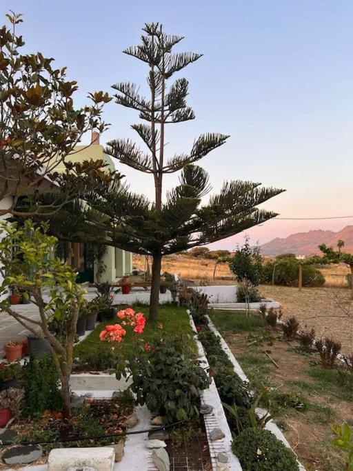 Borgo Majoca - Μονοκατοικία Σε Κυκλαδίτικο Νησί Mészi Kültér fotó